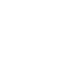 ico_leon_II ico_leon_II